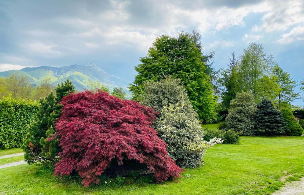 Villa Giulia - Marguareis Peveragno Dış mekan fotoğraf