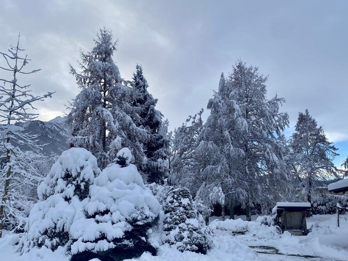 Villa Giulia - Marguareis Peveragno Dış mekan fotoğraf