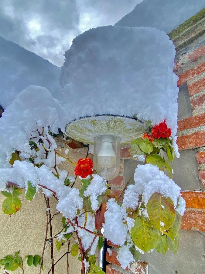 Villa Giulia - Marguareis Peveragno Dış mekan fotoğraf